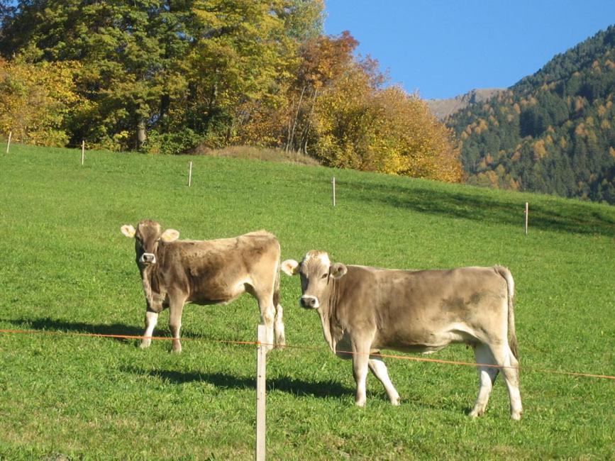 Mantingerhof Apartments Funes  Esterno foto